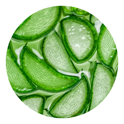 Aloe Extract